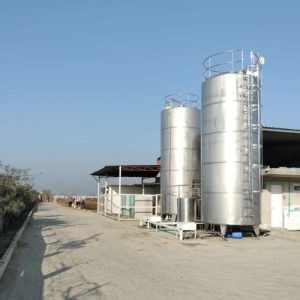 untitled design (9)